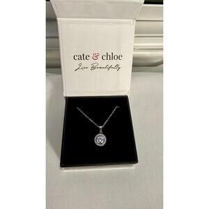 Cate & Chloe Blake 18k White Gold Plated Halo Pendant Necklace - NIB